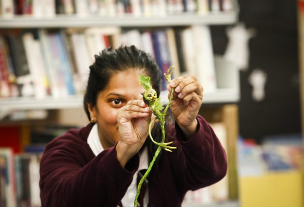 Children engage with Joseph Coelho's Tree Child on the Spark Arts tour. Photo credit: Pamela Raith Photography / The Spark Arts