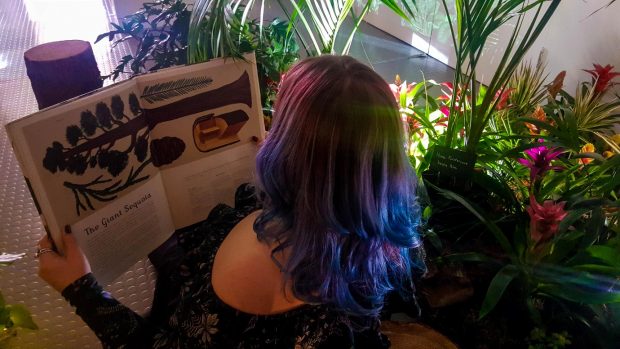 Photo of a woman looking at a herbology book amongst some pot plants.