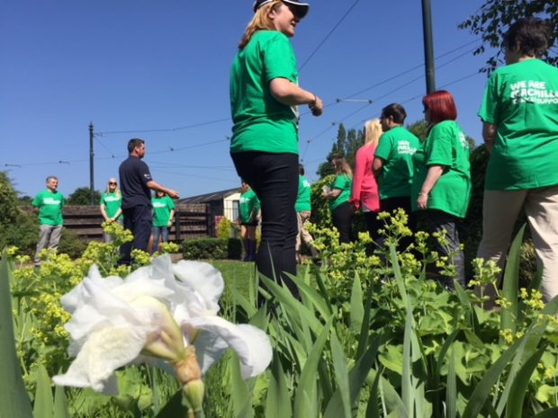 Photo of lots of people wearing Macmillan green tshirts, walking in a garden