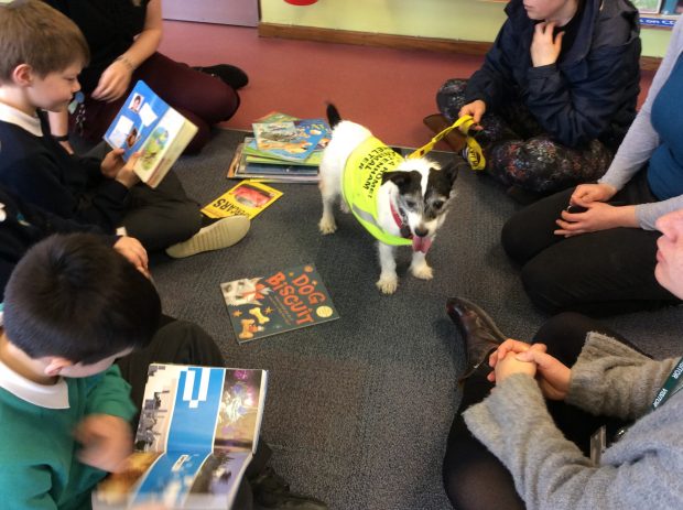 Photo of a dog on a carpet surrounded by children each of whom is reading